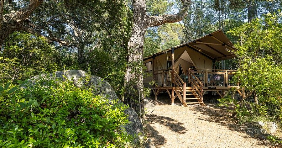 Lodgetent van hout midden in het bos, ideaal voor een authentieke glampingervaring dicht bij de natuur.
