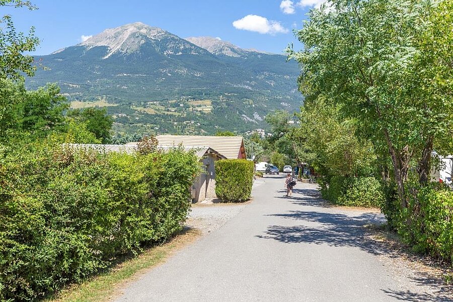 Schaduwrijke laan op een camping in de Hautes-Alpes met uitzicht op de bergen, ideaal voor een rustige vakantie.