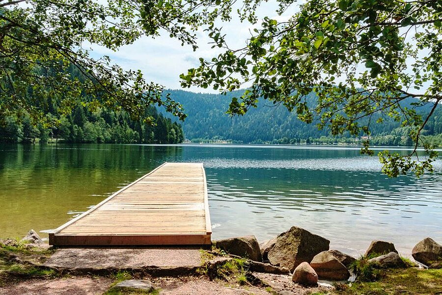 Houten steiger aan het meer van Longemer, omringd door weelderige bossen – ideaal voor een natuurvakantie op een campsite in de Vogezen