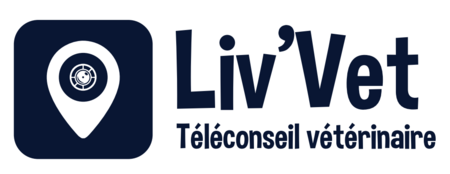 [Translate to Néerlandais:] LivVet, rencontrez un vétérinaire pour votre fidèle compagnon sans quitter le confort de votre camping sites et paysages !