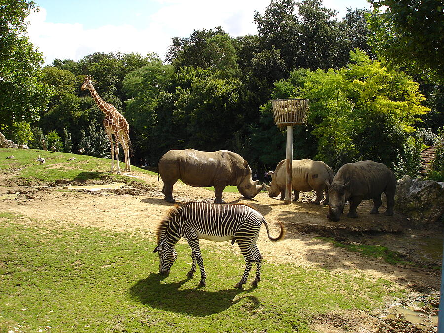 [Translate to Néerlandais:] 