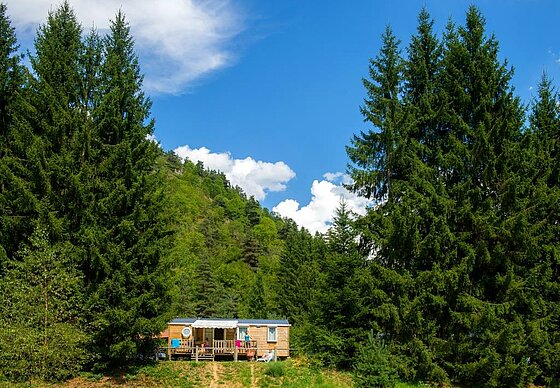 Een campingaccommodatie midden in de natuur