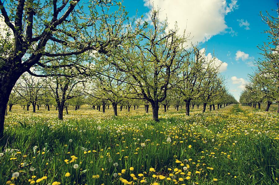 [Translate to Néerlandais:] 