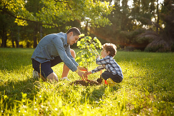 Vader en zoon planten een boom tijdens een ecologische kampeervakantie, als symbool van onze duurzame inzet voor natuurvriendelijk toerisme.