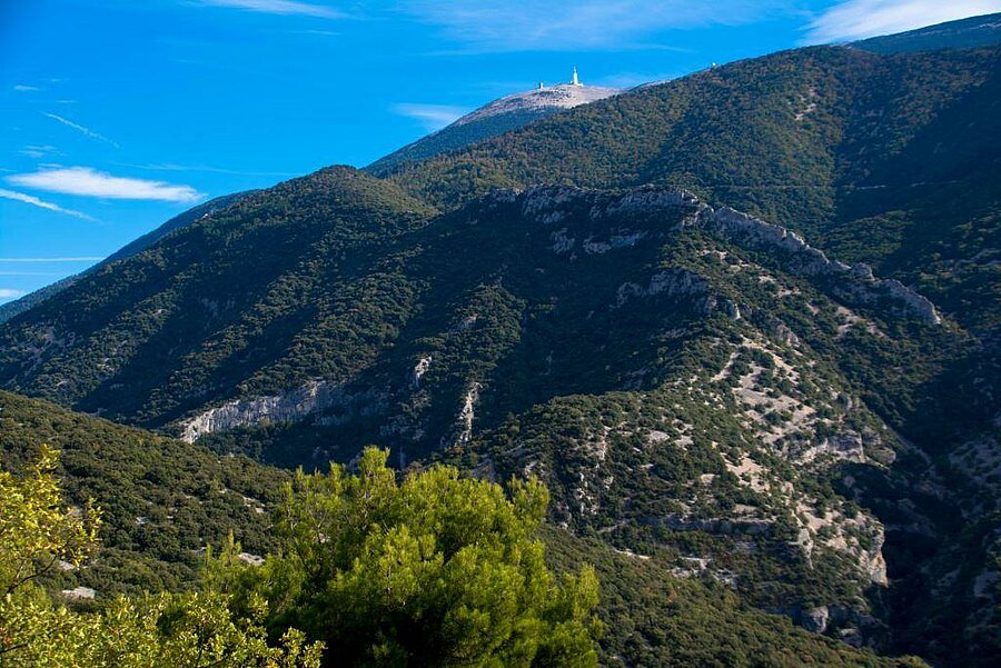 Uitzicht op de groene hellingen en de iconische top van de Mont Ventoux, een natuurlijke omgeving bij de camping.