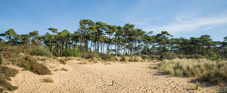 [Translate to Néerlandais:] 