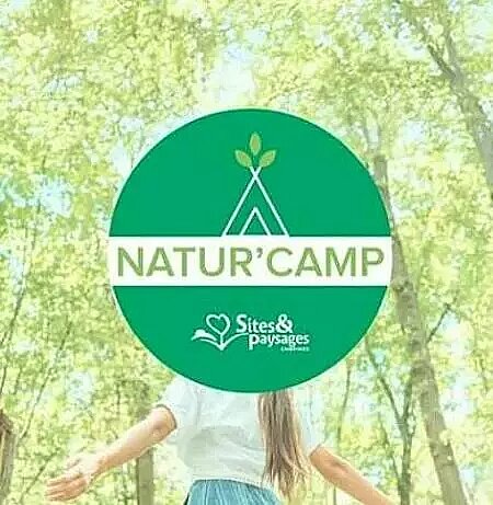 Natur’Camp-logo in het hart van een bos, illustrerend kleinschalige en verantwoorde campings.
