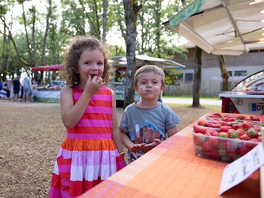 Kinderen proeven aardbeien op een lokale markt bij een camping in Zuidwest-Frankrijk, gezellig en authentiek