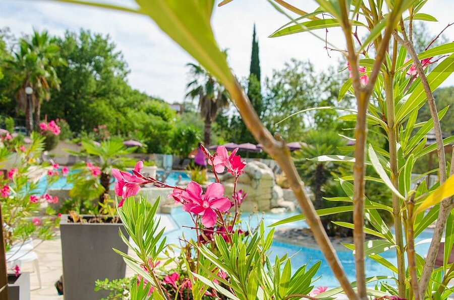 Zwembad omringd door oleanders op een charme camping in de Alpes-Maritimes, bloeiende omgeving en ontspannen sfeer in Provence-Alpes-Côte d’Azur.