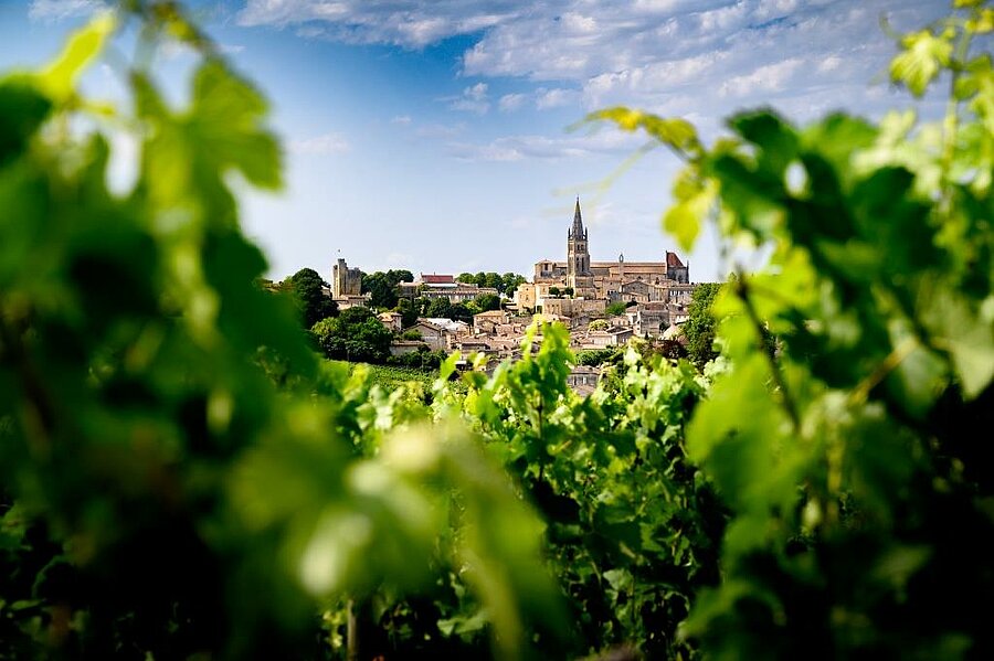 Uitzicht op het middeleeuwse dorp Saint-Émilion tussen de wijngaarden, UNESCO-erfgoed om te ontdekken tijdens een Camping Saint-Émilion verblijf.