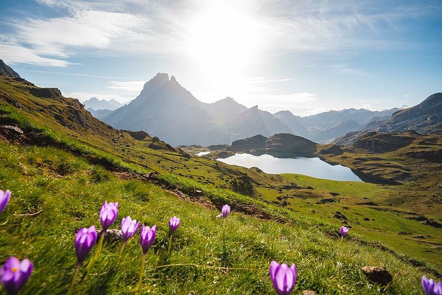 Bergmeer omringd door bergen en wilde bloemen in de Hautes-Pyrénées, een natuurlijk juweel om te verkennen vanuit een campsite.
