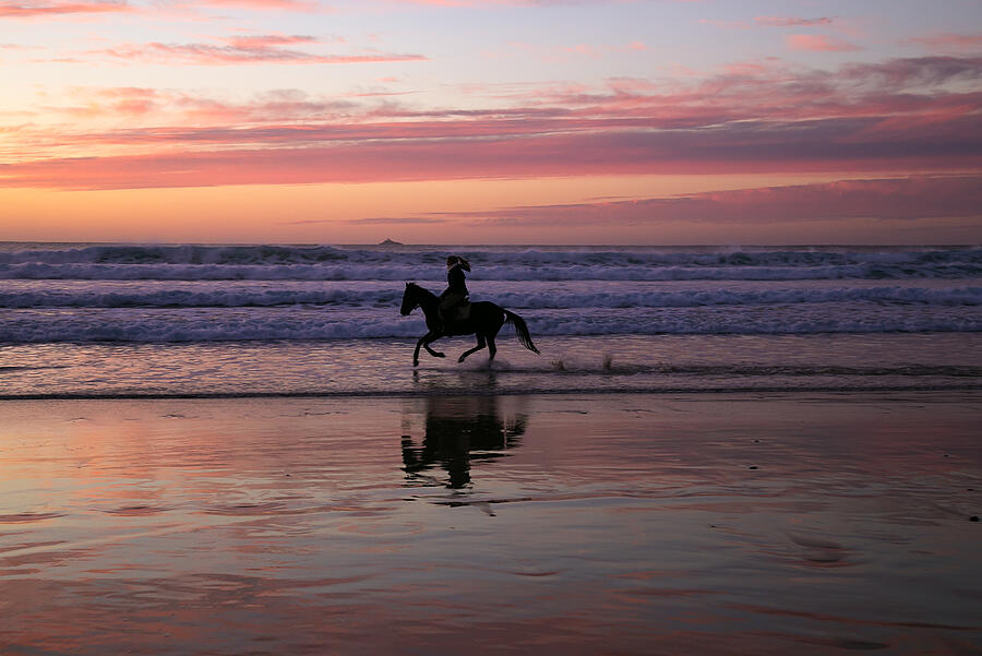 [Translate to Néerlandais:] 