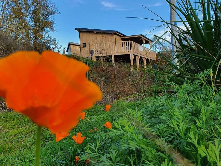 Houten chalet genesteld in een groene oase op een charme camping bij het Canal du Midi, in Occitanië.