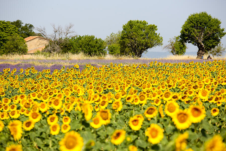 [Translate to Néerlandais:] 