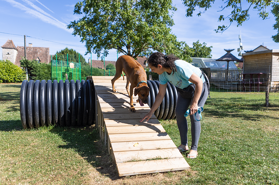 Hond en zijn eigenaar genieten van een ontspannen moment in een hondenuitlaatpark