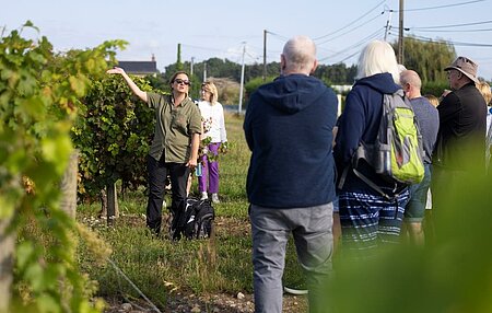 Lokale immersie-ervaringen, groep ontdekt het regionale erfgoed met een lokale gids en beleeft authentieke tradities.