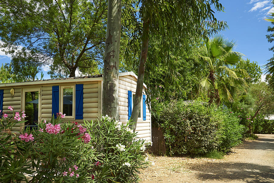 [Translate to Néerlandais:] 