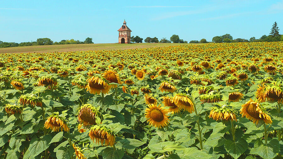 [Translate to Néerlandais:] 