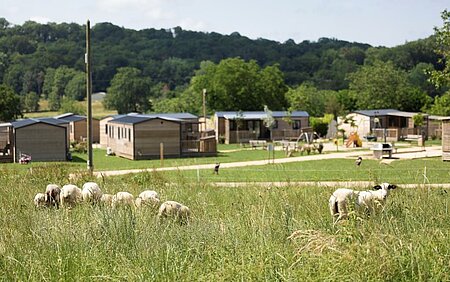 Eco-begrazing met schapen op een charme camping, een concreet voorbeeld van goede praktijk uit het logboek van de duurzame camping van Sites et Paysages.